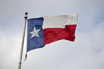 State Flag of Texas Flapping in the Wind
