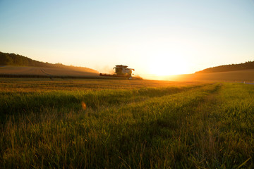 Obraz premium Ernte im Sonnenuntergang