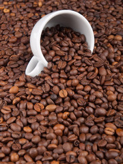 A white cup with many coffee beans on coffe background