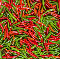 chilli