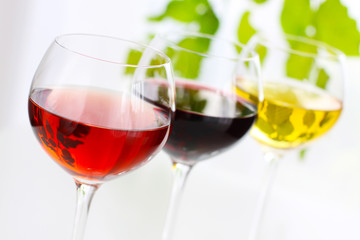 Wine