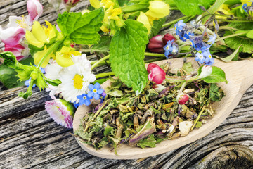 Natural herbal tea on wooden spoon