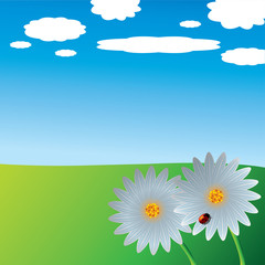 Obraz premium Floral background