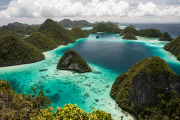 Foto op Plexiglas Indonesië Kalkstenen eilanden 2