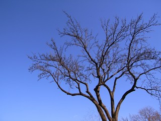 The image of travel destinations in Beijing,Asia