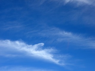 The image of beautiful nature