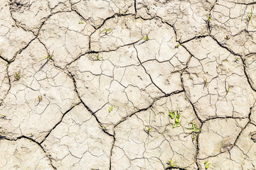 cracked soil