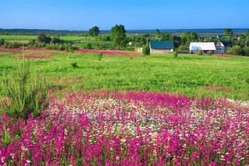 Foto op Plexiglas summer rural landscape with the village © yanikap