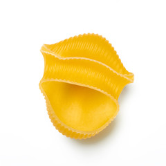 Lumaconi. Durum Wheat Pasta