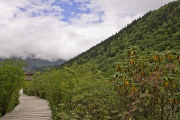 The image of landscape in China,Asia