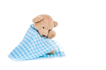 Sad Teddy