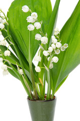 Fototapeta premium Vase of lilies