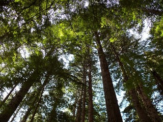 Fototapeta premium The image of travel destination