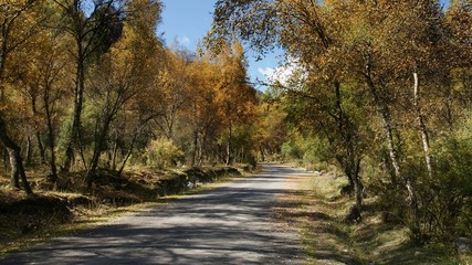 Obraz premium The image of landscape in China, Asia