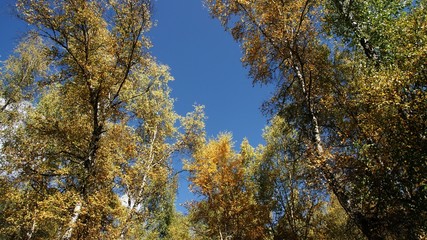 The image of landscape in China, Asia