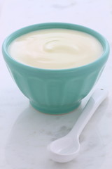 Obraz na płótnie Canvas vintage plain yogurt