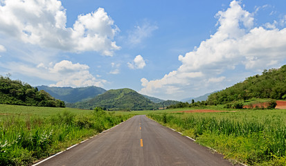 Road View to Mountains in Sunshine Day