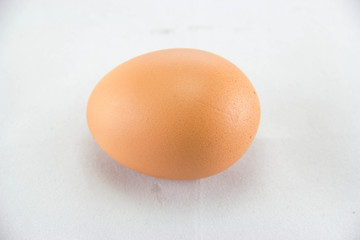 close up of egg on white background with clipping path