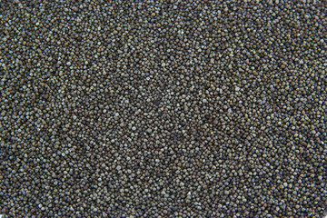 Black sesame seeds in close up shot