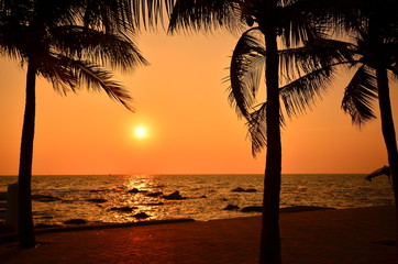 Palm Tree at Sunset Beach