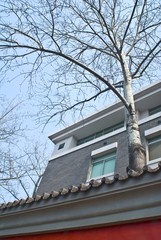 The image of city in Beijing,Asia