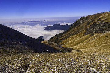 The image of beautiful nature