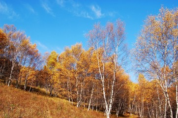 The image of travel destinations in Beijing,Asia