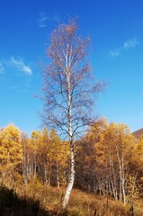 The image of travel destinations in Beijing,Asia