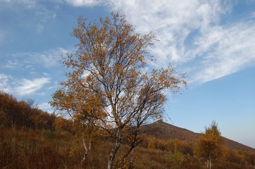 Obraz premium The image of travel destinations in Beijing,Asia