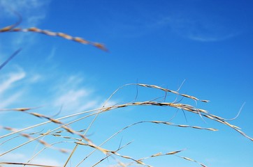 The image of travel destinations in Beijing,Asia