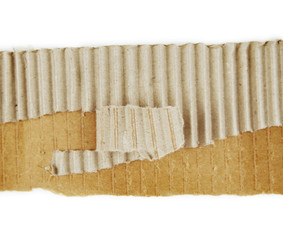 Cardboard