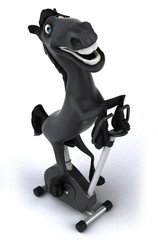 Fototapeta premium Horse