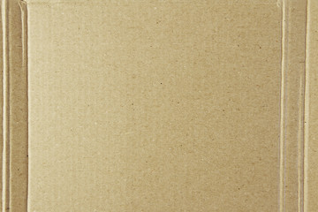 Cardboard