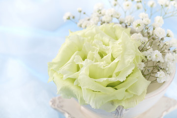 トルコキキョウ