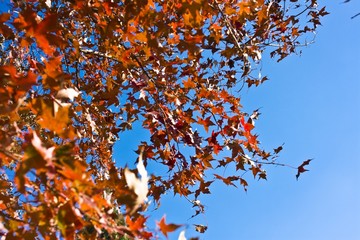 The image of travel destinations in China,Asia