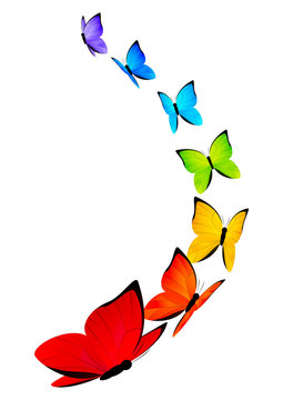 Rainbow butterflies border for Your design