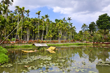 The image of travel destinations