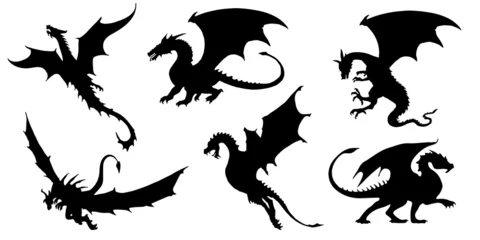 Fotobehang dragon silhouettes © jan stopka