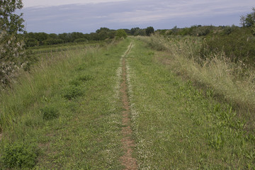 Fototapeta na wymiar Walking road in the countryside