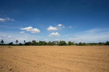 Fototapeta na wymiar prepare plantation with blue sky