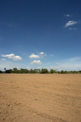 prepare plantation with blue sky