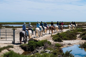 Promenade à cheval, en Camargue.