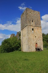 Ruines du château de Couzage.