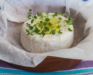 Camembert with thyme