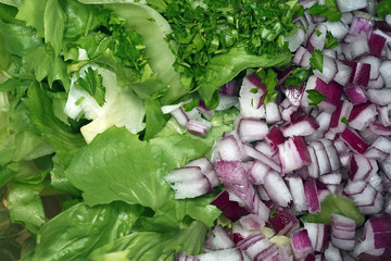 salade dans le saladier avec oignons rouge