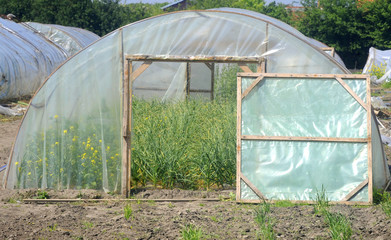 Plastic greenhouse