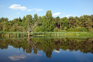 Летний пейзаж на реке Клязьма © Chekanova