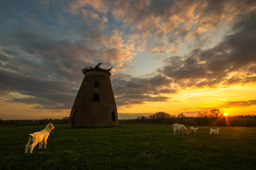 Romantyk © Mike Mareen