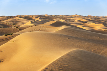 Fototapeta na wymiar Desert Wahiba Oman