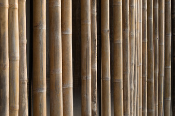 Bamboo structure